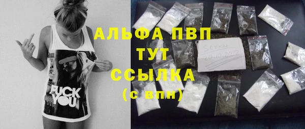 ECSTASY Новодвинск
