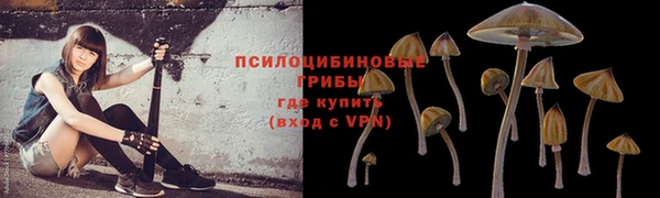 ECSTASY Новодвинск