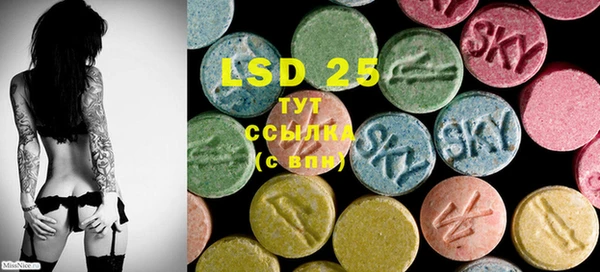 ECSTASY Новодвинск