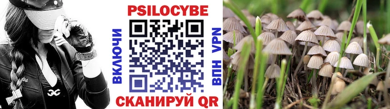 цены наркотик  Апатиты  Галлюциногенные грибы Psilocybe 