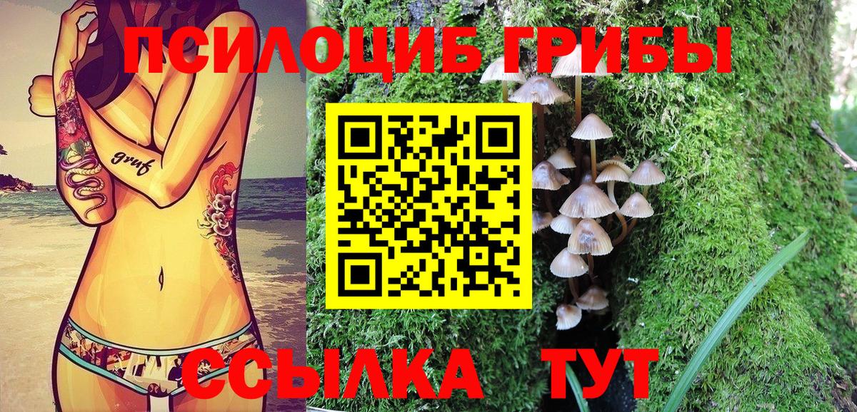 Псилоцибиновые грибы Psilocybe  Вход с VPN  Апатиты 